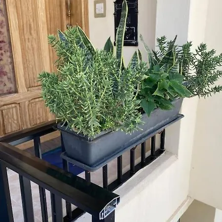 דירה Elegant Maisonette In Malta By Assetflow Pro *