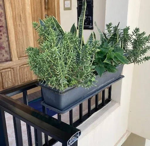 Apartament Elegant Maisonette In Malta By Assetflow Pro *